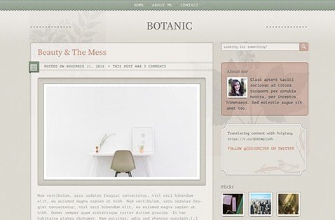 CSS Igniter Botanic WordPress Theme