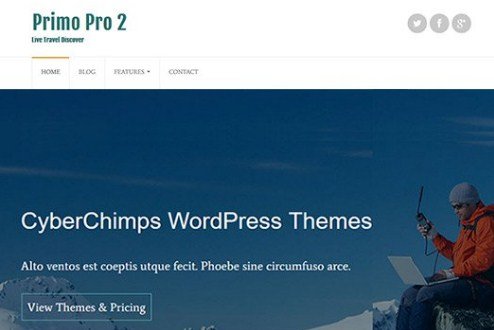 CyberChimps Primo Pro 2 WordPress Theme