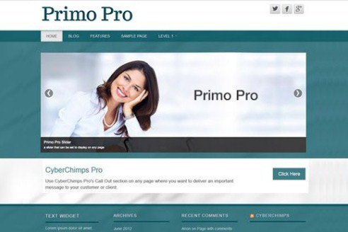 CyberChimps Primo Pro WordPress Theme