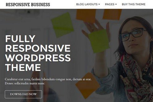 CyberChimps Responsive Business WordPress Theme