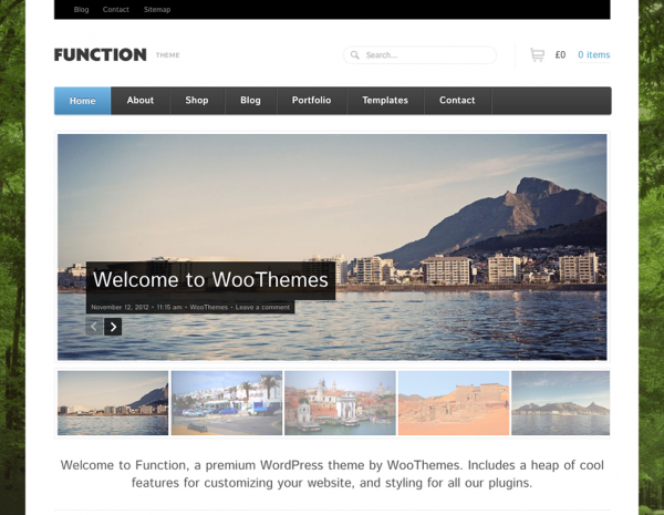 WooThemes Function WooCommerce Themes