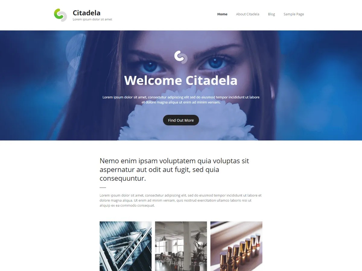 Citadela Business WordPress Theme + Plugins