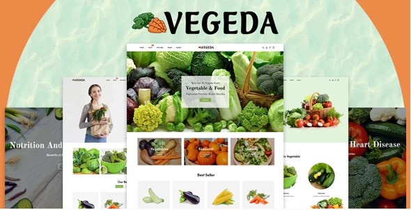 Vegeda – Vegetables And Organic Food eCommerce Shopify Theme - Vegeda - Vegetables And Organic Food Shopify Theme v1.0 by Themeforest Free Download