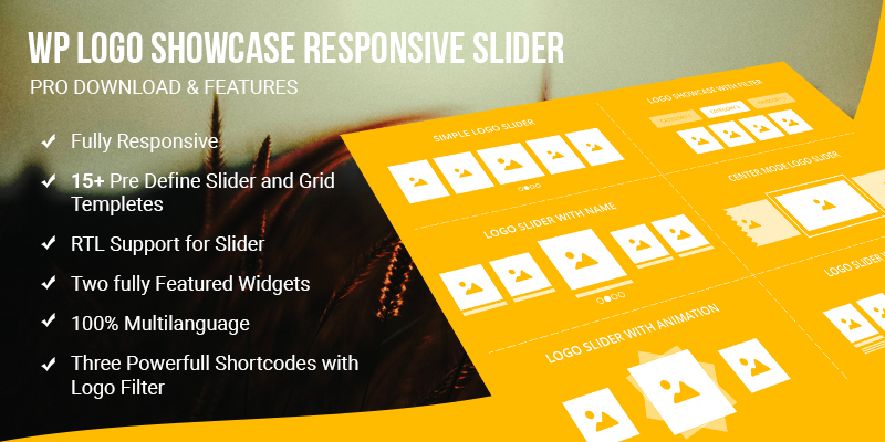 WP Logo Showcase Responsive Slider ProBy WpOnlineSupport