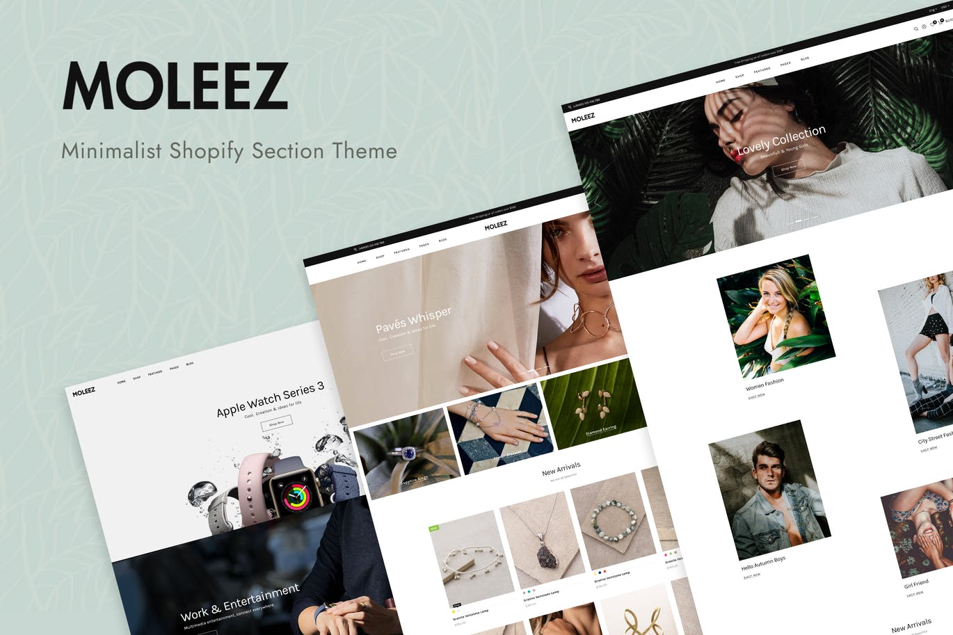 Moleez - Minimalist Shopify Section Theme