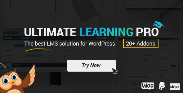 Indeed Ultimate Learning Pro