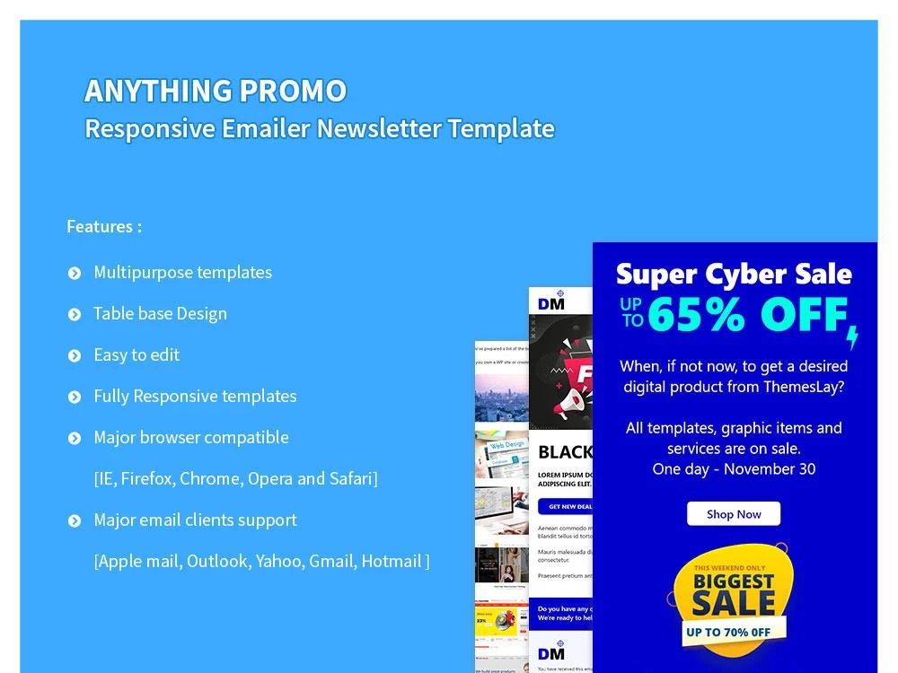Anything Promo - Responsive Emailer Newsletter Template