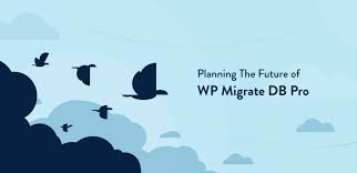 WP Migrate DB Pro + Addons