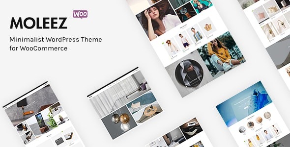 Moleez Minimalist WordPress Theme for WooCommerce