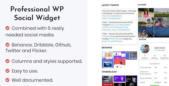 Professional WP Social Widget Plugin