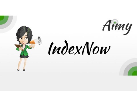 Aimy Index Now Pro