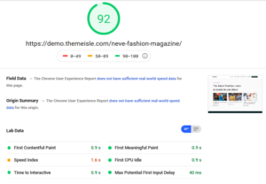 Neva Theme Google PageSpeed Insights Test Desktop