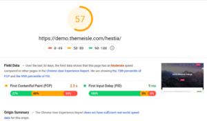Hestia Pro Google PageSpeed Insights Desktop Test